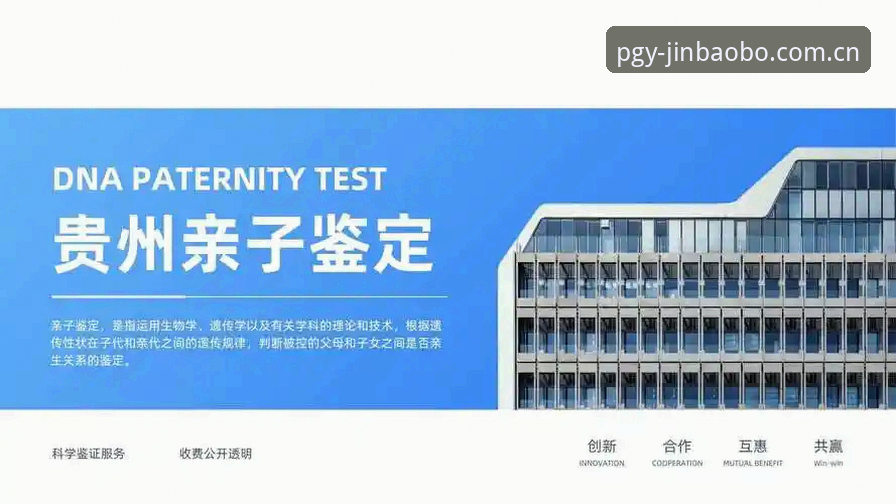 2026金宝搏靠谱吗 2026金宝搏靠谱吗?全面解读新手最关心的平台可靠性